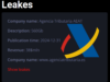 ¿Qué sabemos sobre el robo de datos a la Agencia Tributaria española y sus implicaciones? Captura de pantalla de un sitio web de filtraciones titulado "Leakes". En el cuadro central se muestra información relacionada con la Agencia Tributaria AEAT, incluyendo el nombre de la organización "Agencia Tributaria AEAT", una descripción que indica "560 Gb", la fecha de publicación de los datos como "2024-12-31", los ingresos estimados señalados como "38$mln" y el enlace a la página web "www.agenciatributaria.es". En la parte inferior aparece un enlace en texto rojo que dice "Show leakes". A la derecha se observa el logotipo oficial de la Agencia Tributaria. El diseño de la página utiliza un fondo oscuro con letras en blanco y algunos detalles en rojo y azul.