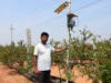 Cómo la inteligencia artificial está ayudando a modernizar el campo en India Un agricultor en India, de pie junto a un dispositivo de monitoreo agrícola impulsado por IoT, instalado en un campo de granados. El dispositivo está conectado a un panel solar y se utiliza para recopilar datos sobre el clima y el suelo, con el objetivo de optimizar el riego y la producción agrícola.