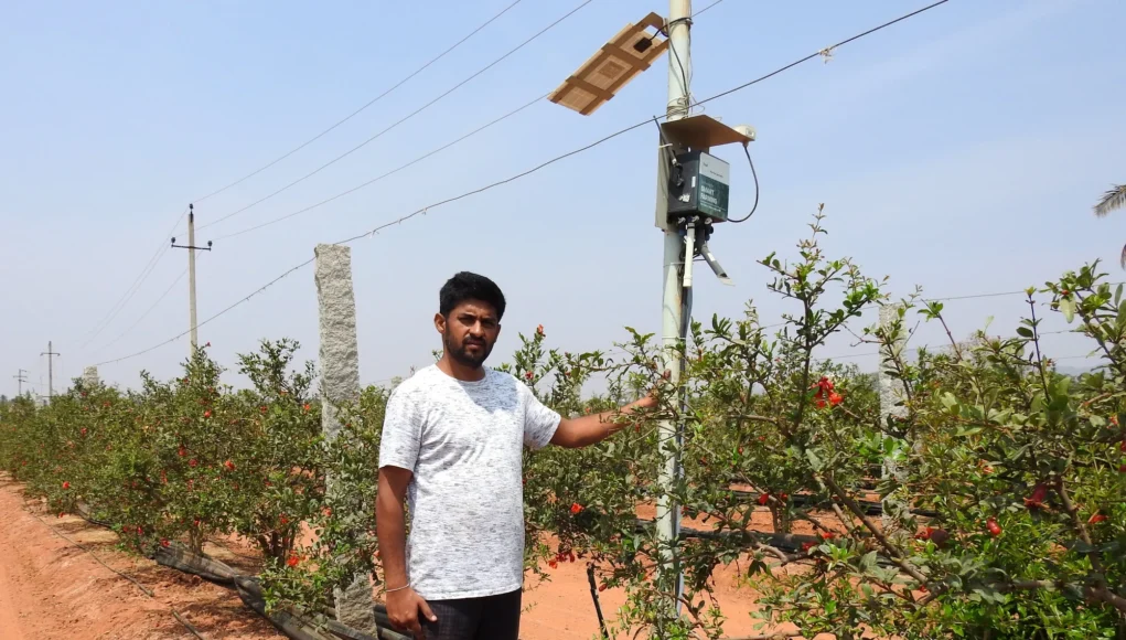 Un agricultor en India, de pie junto a un dispositivo de monitoreo agrícola impulsado por IoT, instalado en un campo de granados. El dispositivo está conectado a un panel solar y se utiliza para recopilar datos sobre el clima y el suelo, con el objetivo de optimizar el riego y la producción agrícola.