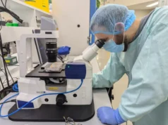 Cortical Labs lanza el primer cerebro biológico sintético que funciona con células humanas vivas Investigador en un laboratorio observando una muestra a través de un microscopio. Lleva bata, guantes, mascarilla y una cofia protectora. El entorno del laboratorio incluye equipos especializados, sugiriendo un estudio avanzado en biotecnología o neurociencia.