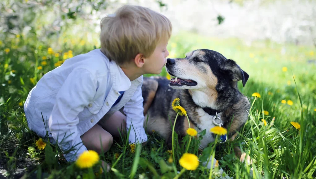 Niño pequeño y perro acostados en un prado con flores amarillas, mirándose con cariño mientras están cara a cara.