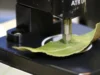 Una nueva técnica de escaneo de hojas permite saber cuándo está maduro el fruto sin tocarlo Primer plano de un dispositivo de laboratorio presionando una hoja verde con una sonda metálica, utilizado para medir propiedades físicas o químicas del tejido vegetal en un entorno de análisis científico.